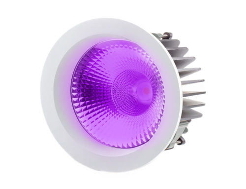 DLF Ultraviolet LED Conversion